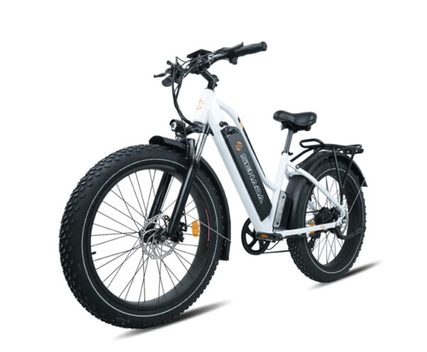 All New Upgraded Senada Herald 1000w 48v 21Ah Long Range Fat Tire Step thru Mountain Beach Snow Electric Bike + Rear Rack & Fenders - Image 7