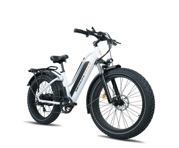 All New Upgraded Senada Herald 1000w 48v 21Ah Long Range Fat Tire Step thru Mountain Beach Snow Electric Bike + Rear Rack & Fenders - Image 9