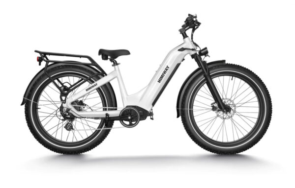 Himiway Zebra 26” Premium 750W 48V 20Ah All-Terrain Electric Fat Bike - Image 2