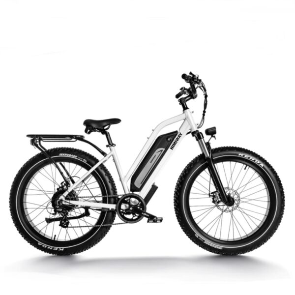 Himiway All Terrain Cruiser ST 750W 48V 17.5Ah Fat Tire Electric Mountain Beach Snow Bike