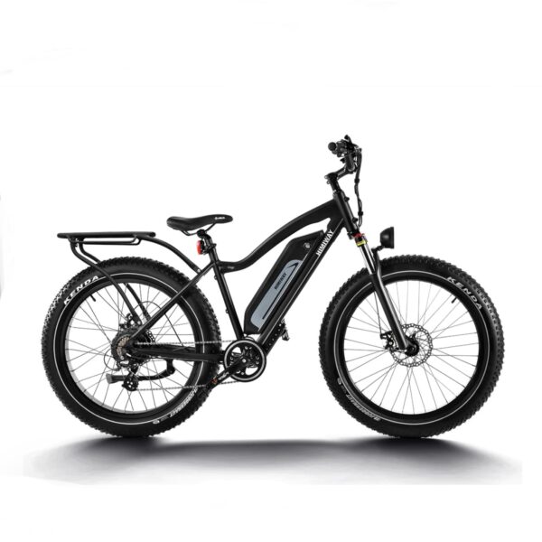 Himiway Cruiser 750W 48V 17.5Ah Long Range Fat Tire Electric Bike