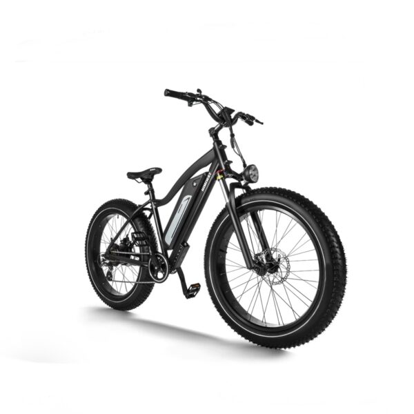 Himiway Cruiser 750W 48V 17.5Ah Long Range Fat Tire Electric Bike - Image 2