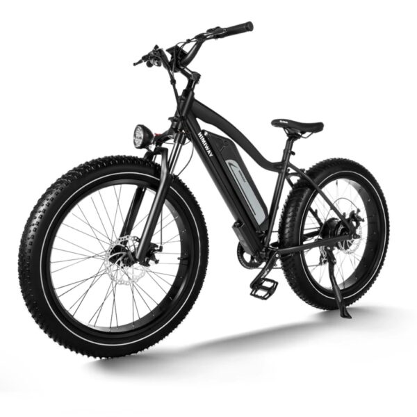 Himiway Cruiser 750W 48V 17.5Ah Long Range Fat Tire Electric Bike - Image 3