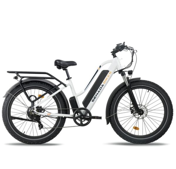 All New Upgraded Senada Herald 1000w 48v 21Ah Long Range Fat Tire Step thru Mountain Beach Snow Electric Bike + Rear Rack & Fenders