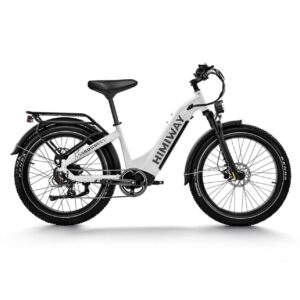 Himiway Zebra 26” Premium Step Thru 750W 48V 20Ah All-Terrain Electric Fat Bike